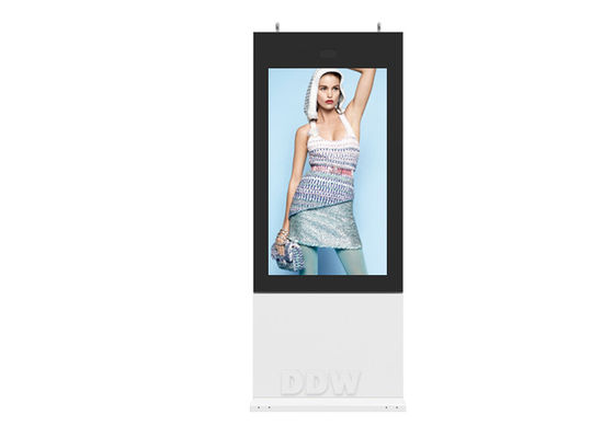 55" IP65 1500cd LCD Advertising Digital Signage DDW-AD5501SNO